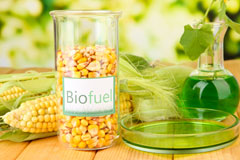 Stanks biofuel availability